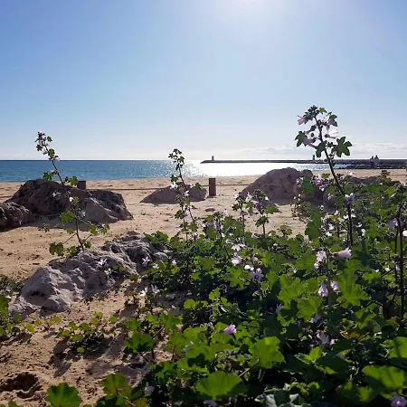 Ocean View 알부페이라