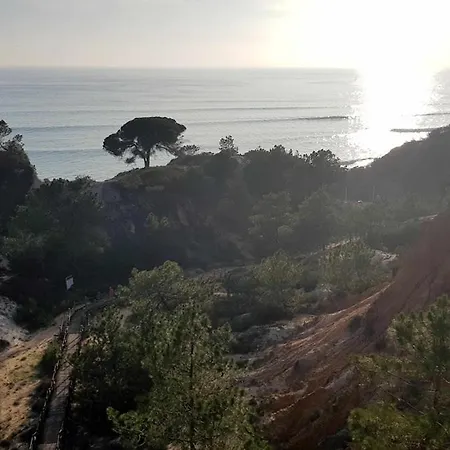 Ocean View