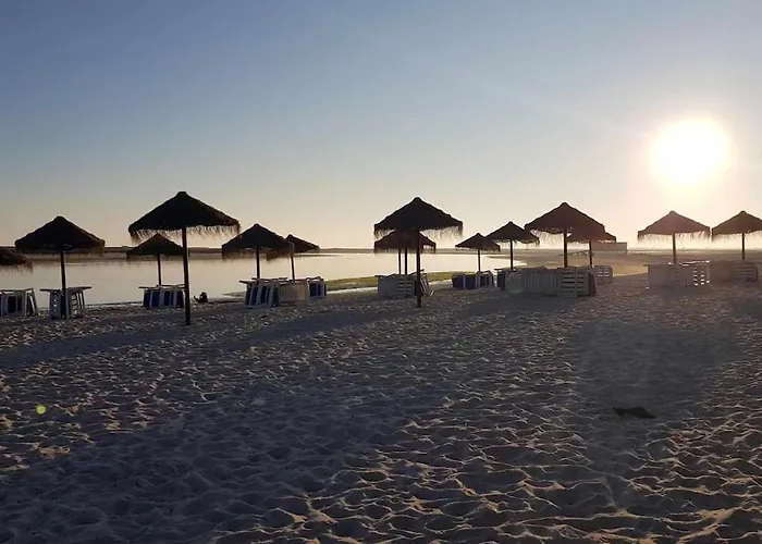 Ocean View 아파트