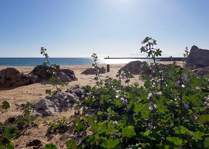 Ocean View 阿尔布费拉