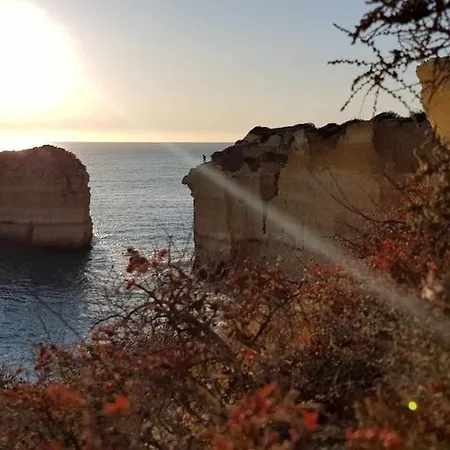 Ocean View Lejlighed Albufeira