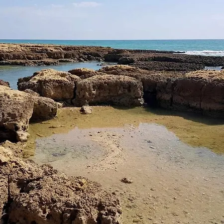 Lejlighed Ocean View